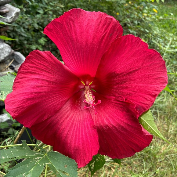 ⁉️MYSTERY BOX⁉️5 Mixed Pieces Cookie Lee Fine Fashion Jewelry worth $125+ Retail - Picture 8 of 15